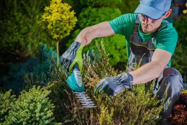 landscaping services Allendale